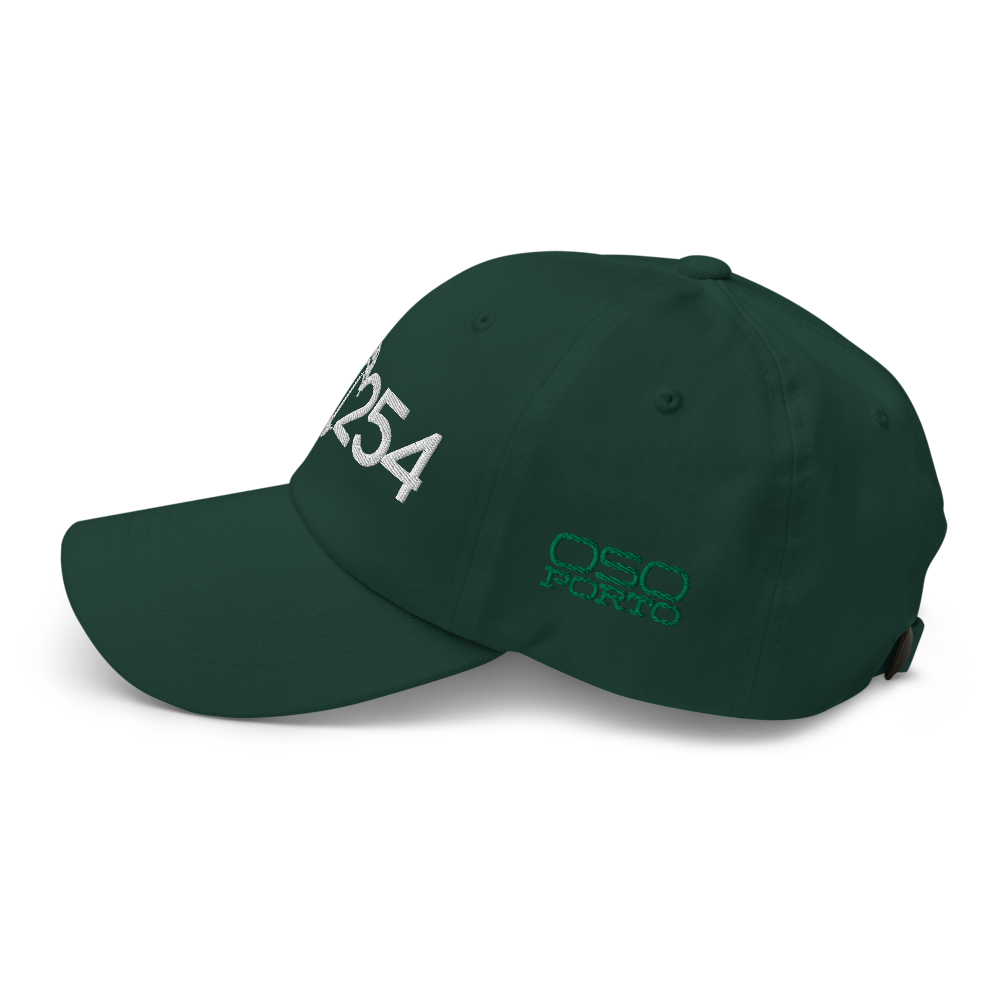 The Code: 90254 Dad Hat from OsoPorto