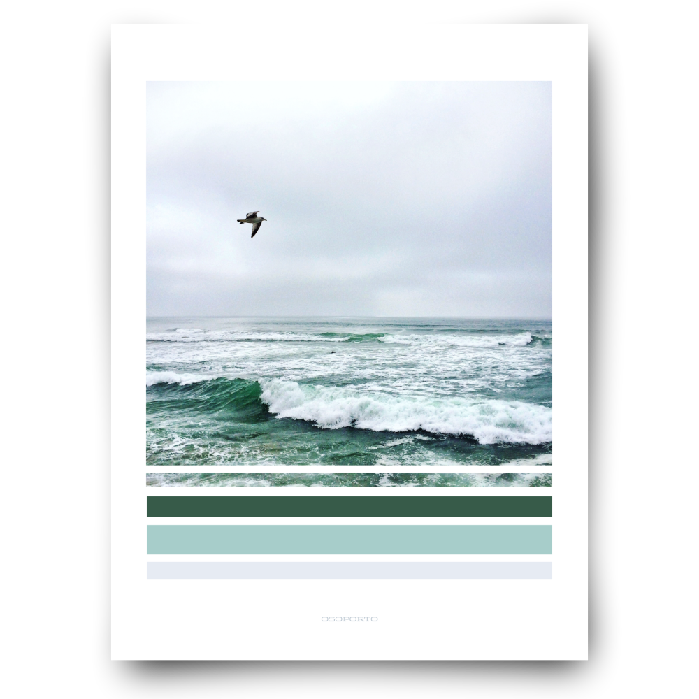 seagull with waves green graphic photography beach decor poster