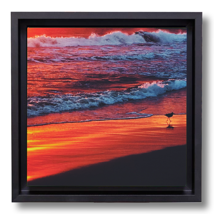 Beach decor photography canvas print: Edge of Sunset